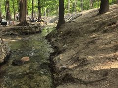 -白水寺森林公园