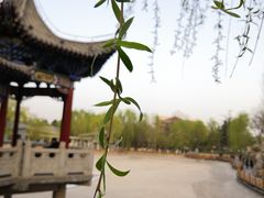 -金城公园