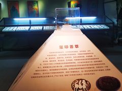 -古陶文明博物馆
