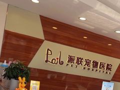 -派联宠物医院·24h·CT·异宠