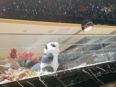 -红辣椒·川菜·火锅(科华路店)