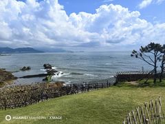 -小麦岛公园