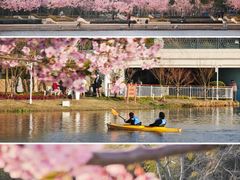 -新江湾城公园