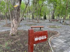 -塘沽森林公园