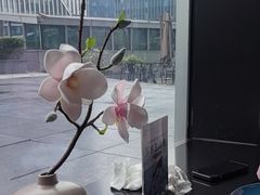 -凤凰湘语(浦东旗舰店)