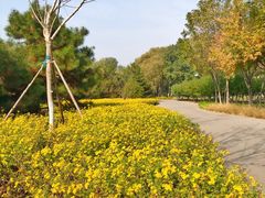 -永定河休闲森林公园