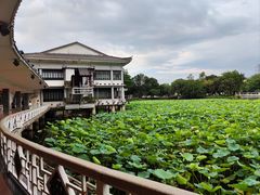 -荔湾湖公园
