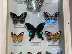 -浙江自然博物院(杭州馆)