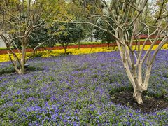 -上海市龙华烈士陵园