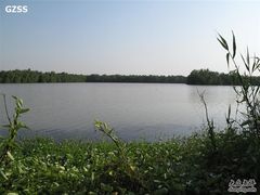 -大湾区中央湿地公园