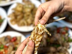 -万尾金滩