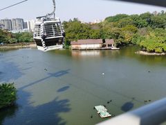 -广州长隆野生动物世界