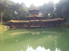 -铁山坪森林公园