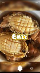 -养月堂中医养生月子会所(中心妇产店)