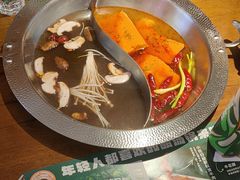 -小媳妇重庆火锅(海莲路店)