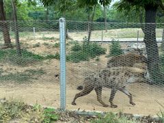 -秦皇岛野生动物园