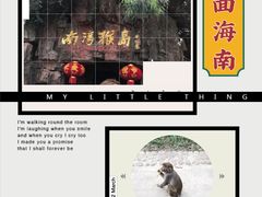 -呀诺达热带雨林