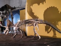 -湖南省地质博物馆