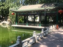 -新川办餐厅