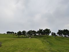 -小麦岛公园