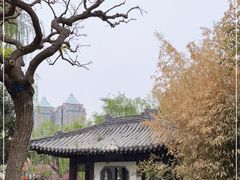 -团结湖公园