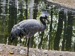 -艾溪湖湿地公园