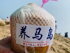 -养马岛旅游度假区