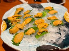 -月龍吟(朝龙汇店)