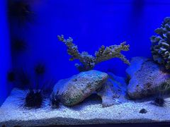 -上海海洋水族馆