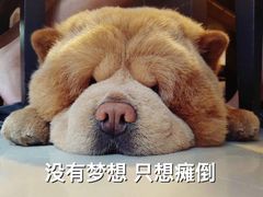 -吉野家(秀谷店)