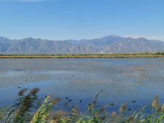 -野鸭湖国家湿地公园