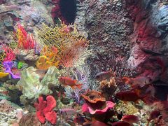 -太平洋海底世界