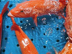 -阿明小菜·海鲜·上海菜(浦建路店)
