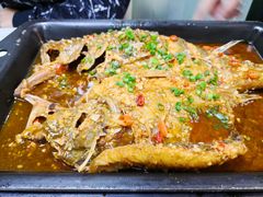 野生臭鳜鱼（大份）-湘桂人酒楼(西便门店)