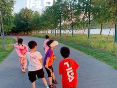 -南汇新城城市公园