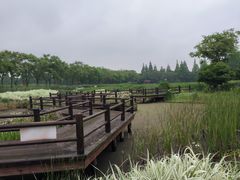 -上海长兴岛郊野公园