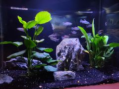 -上海海洋水族馆