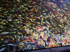 -海上明珠主题乐园