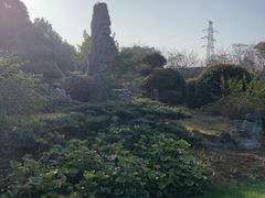 -堤角公园