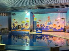 -太平洋海底世界