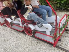 -合肥滨湖国家森林公园