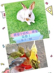 -萌宠亲子动物乐园(槐房万达店)