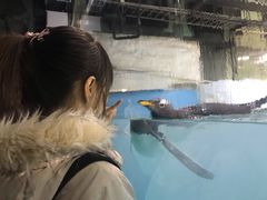 -大连圣亚海洋世界