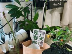 -MĀMĀCHÁ妈妈茶