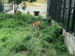 -天津市动物园