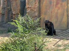 -石家庄市动物园