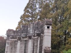 -音乐台