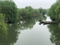 -长兴太湖图影湿地文化园