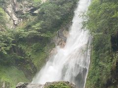 -炎陵县神农谷国家森林公园