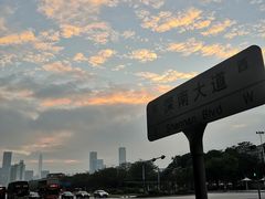 -深圳国际园林花卉博览园